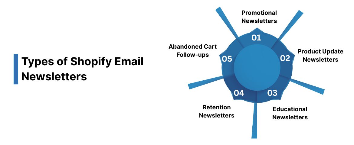 Types of Shopify Email Newsletters