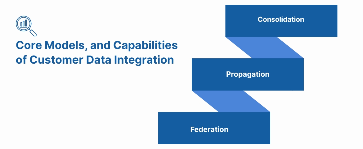 Core Models, and Capabilities of Customer Data Integration