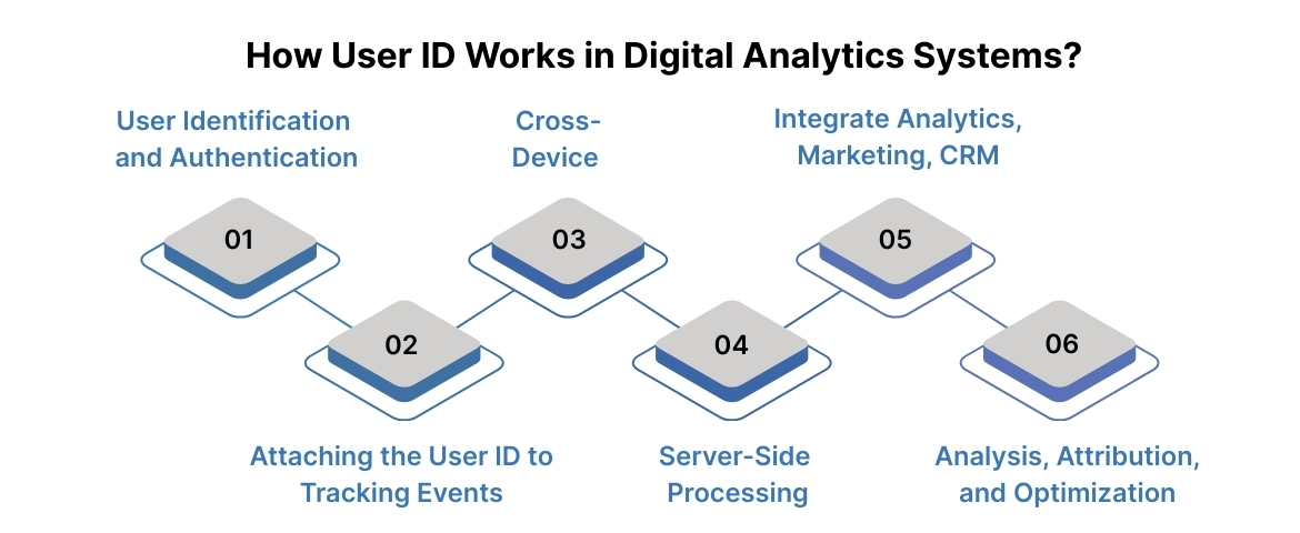 How User ID Works in Digital Analytics Systems?